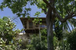 Treehouse in Paradise